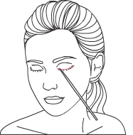 delinear-pincel-lapis1